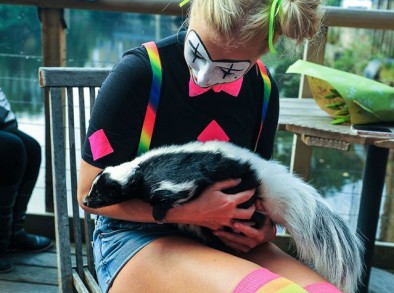 skunk cuddles